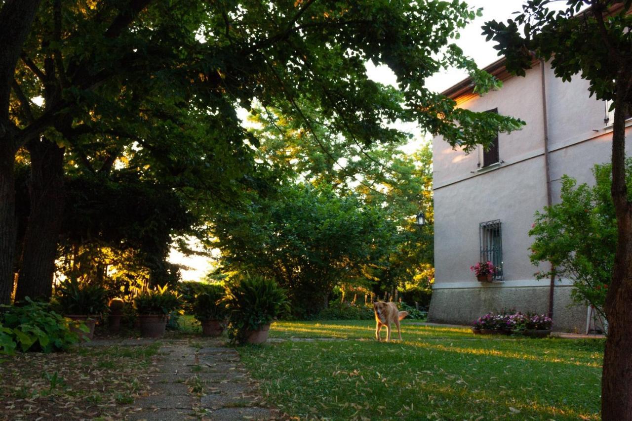 Argenta Ca Morari B&B 외부 사진